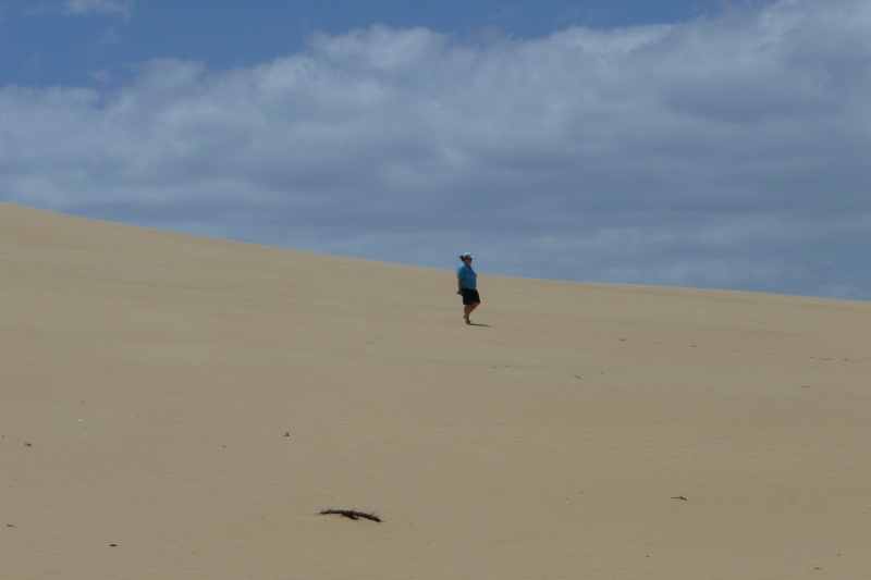 Nieuw-Zeeland 2011 - 0379